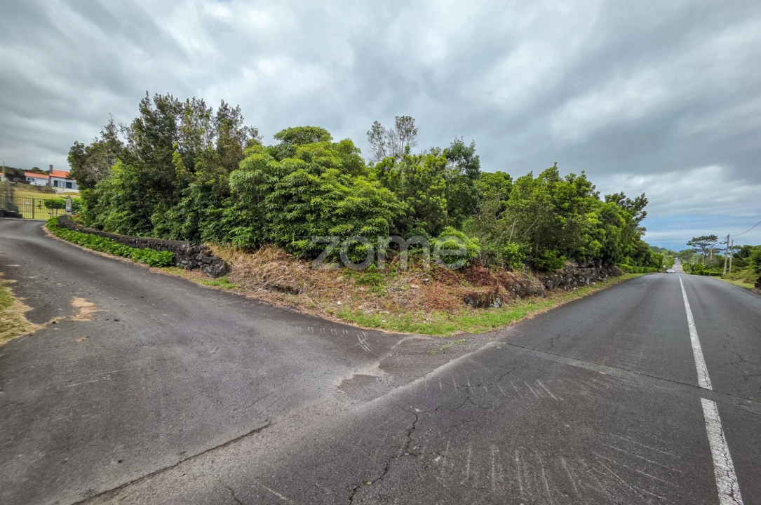 Terreno para Venda em Santo Antonio Foto 3