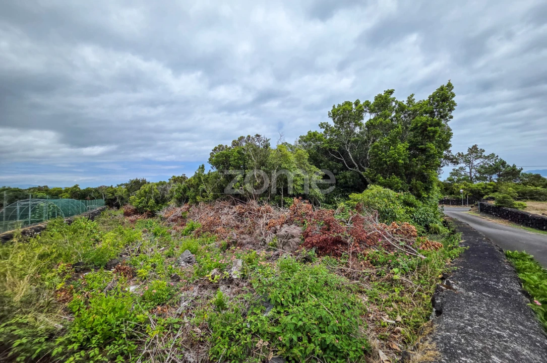 Terreno para Venda em Santo Antonio Foto 7