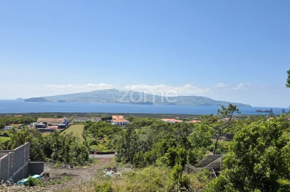 Terreno para Venda em Criação Velha