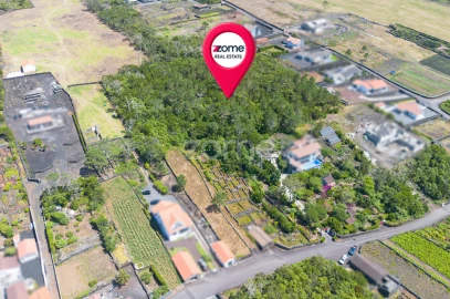 Terreno para Venda em Criação Velha