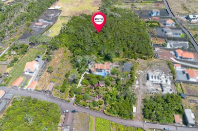 Terreno para Venda em Criação Velha