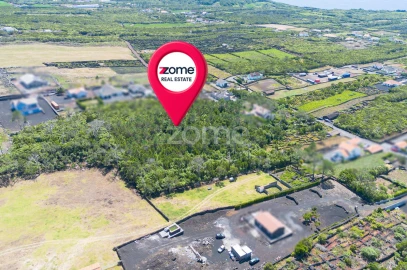 Terreno para Venda em Criação Velha