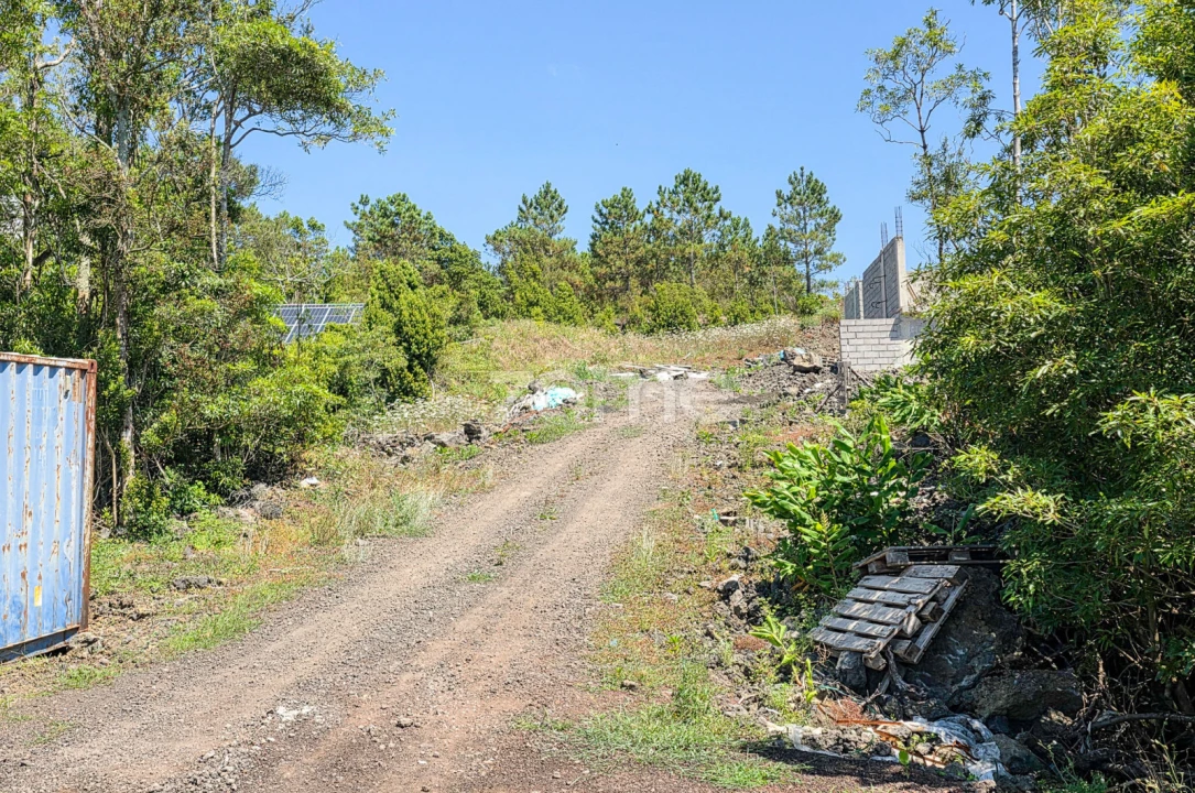 Terreno para Venda em Criação Velha Foto 4