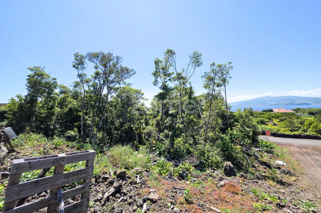 Terreno para Venda em Criação Velha Foto 5