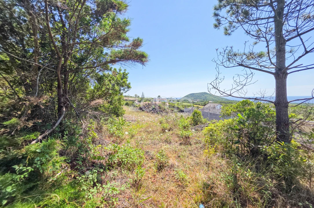 Terreno para Venda em Criação Velha Foto 8