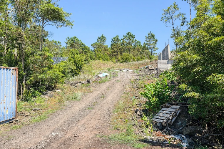 Terreno para Venda em Criação Velha Foto 4