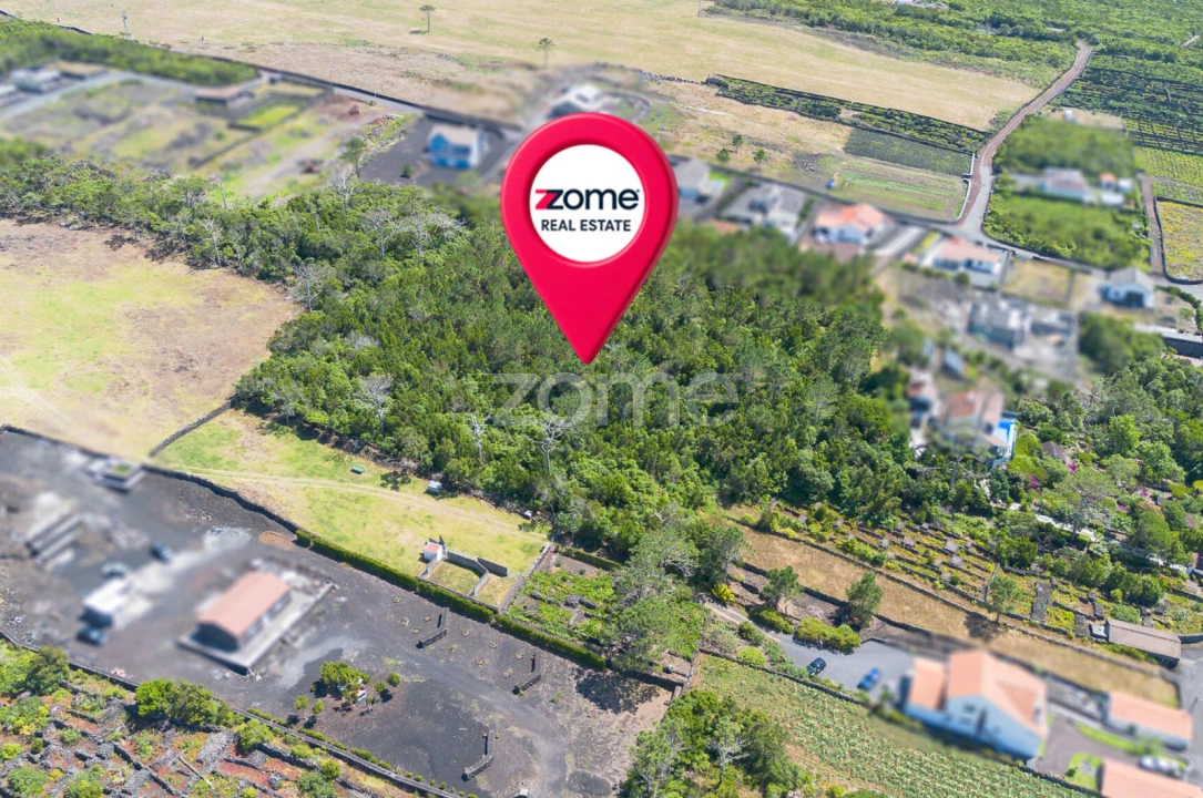 Terreno para Venda em Criação Velha Foto 14