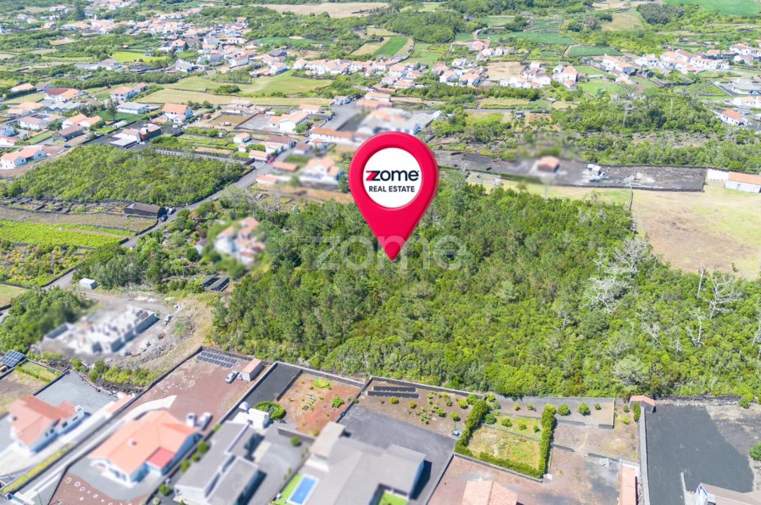 Terreno para Venda em Criação Velha Foto 16