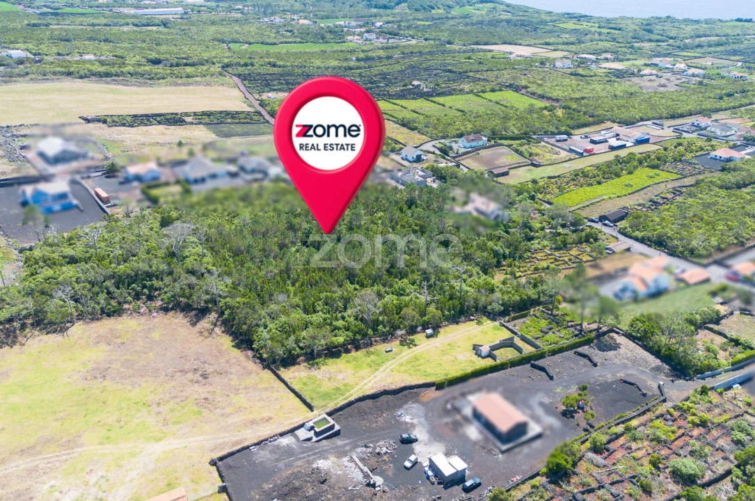 Terreno para Venda em Criação Velha Foto 18