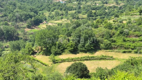 Moradia T0 para Venda em Viariz