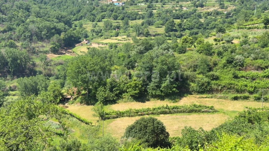 Moradia T0 para Venda em Viariz Foto 2