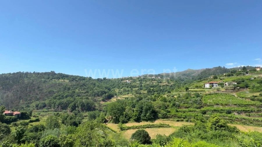 Moradia T0 para Venda em Viariz Foto 7