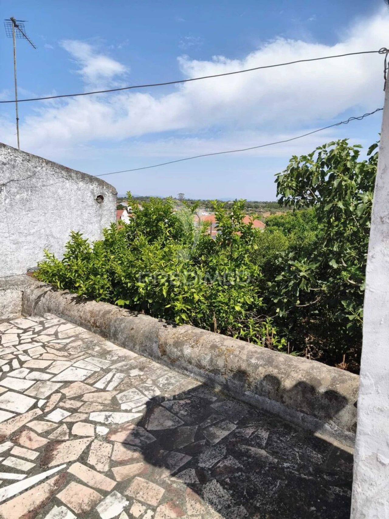 Prédio para Venda em Gafete Foto 16