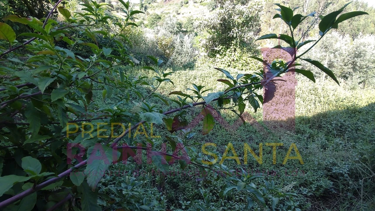 Moradia T4 para Venda em Arrifana Foto 22