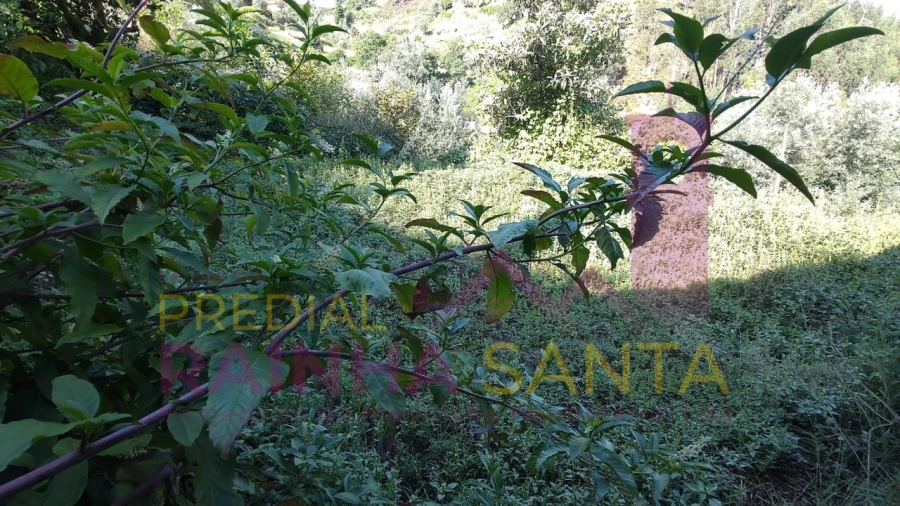Moradia T4 para Venda em Arrifana Foto 22