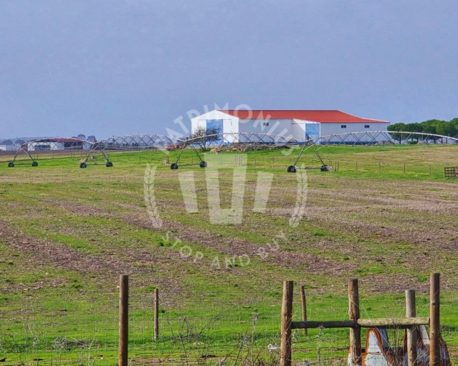 Quinta T7 para Venda em Aljustrel e Rio de Moinhos Foto 1