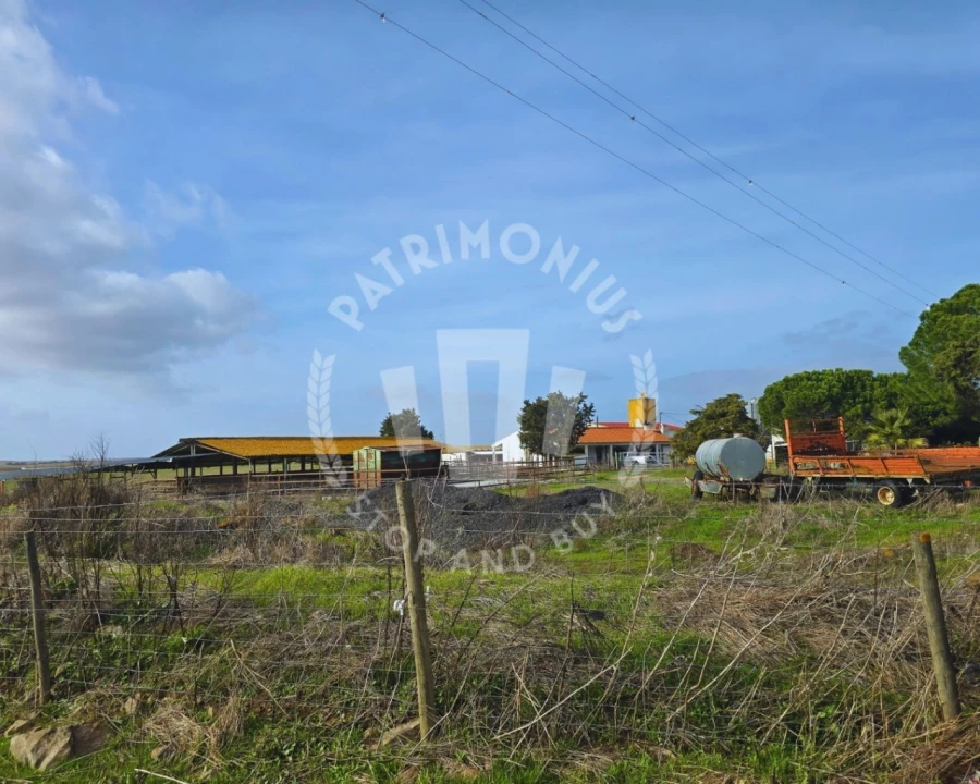 Quinta T7 para Venda em Aljustrel e Rio de Moinhos Foto 2