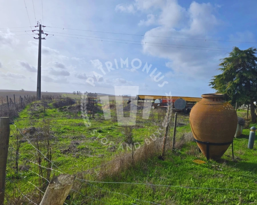 Quinta T7 para Venda em Aljustrel e Rio de Moinhos Foto 3