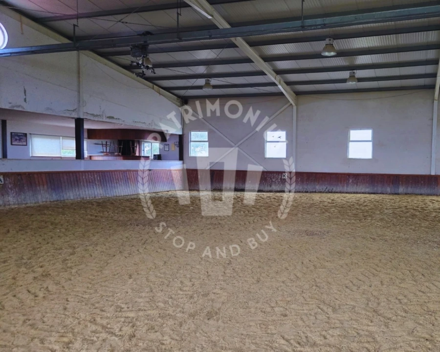 Quinta T7 para Venda em Aljustrel e Rio de Moinhos Foto 6