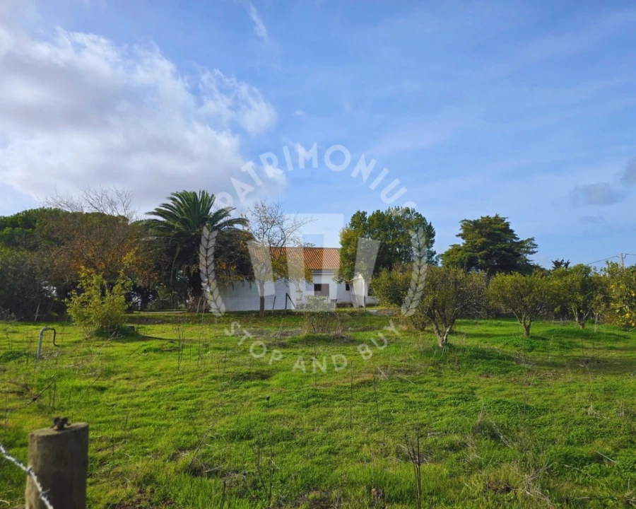 Quinta T7 para Venda em Aljustrel e Rio de Moinhos Foto 8