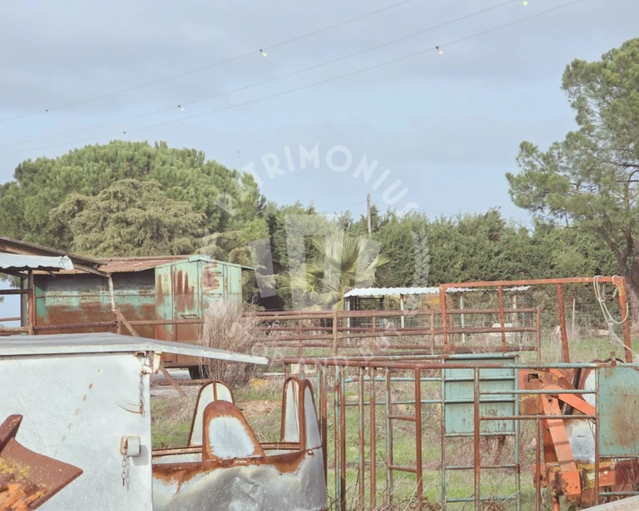 Quinta T7 para Venda em Aljustrel e Rio de Moinhos Foto 13