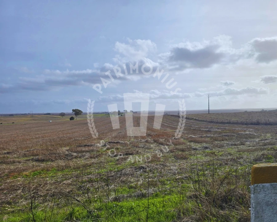 Quinta T7 para Venda em Aljustrel e Rio de Moinhos Foto 15