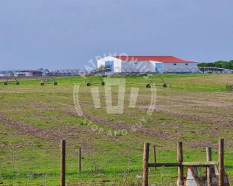 Quinta T7 para Venda em Aljustrel e Rio de Moinhos