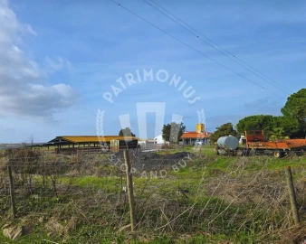 Quinta T7 para Venda em Aljustrel e Rio de Moinhos