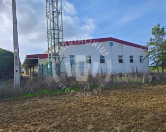 Quinta T7 para Venda em Aljustrel e Rio de Moinhos