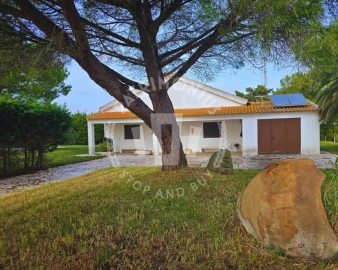 Quinta T7 para Venda em Aljustrel e Rio de Moinhos