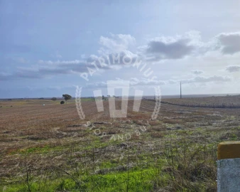 Quinta T7 para Venda em Aljustrel e Rio de Moinhos