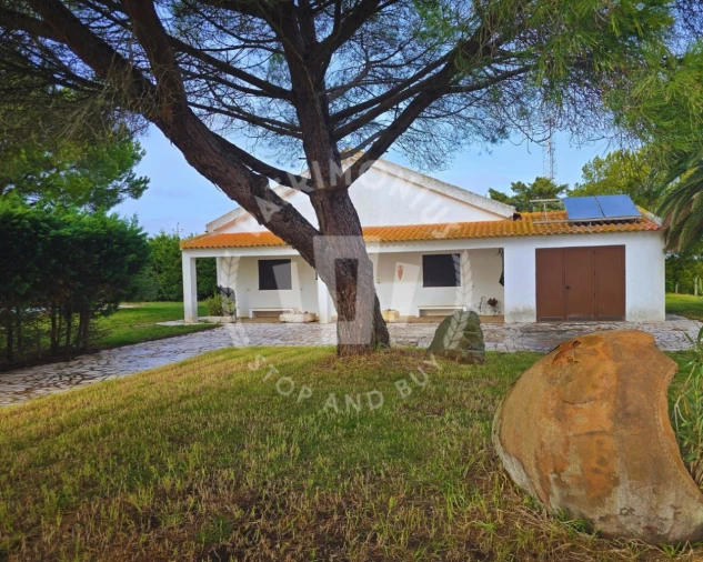 Quinta T7 para Venda em Aljustrel e Rio de Moinhos Foto 9