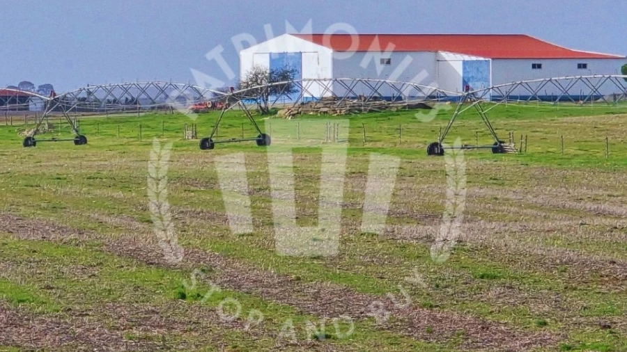 Quinta T7 para Venda em Aljustrel e Rio de Moinhos