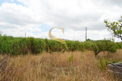 Moradia T2 para Venda em Maceira