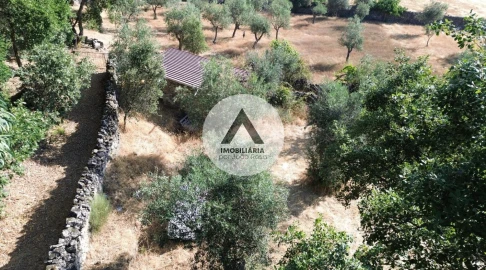 Terreno para Venda em Alcains