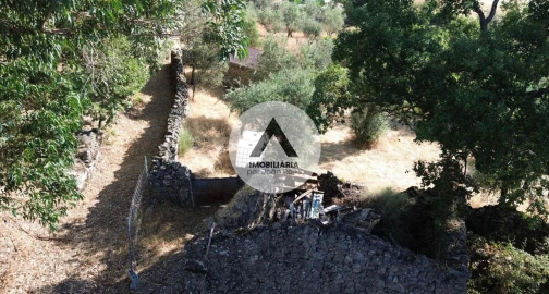 Terreno para Venda em Alcains