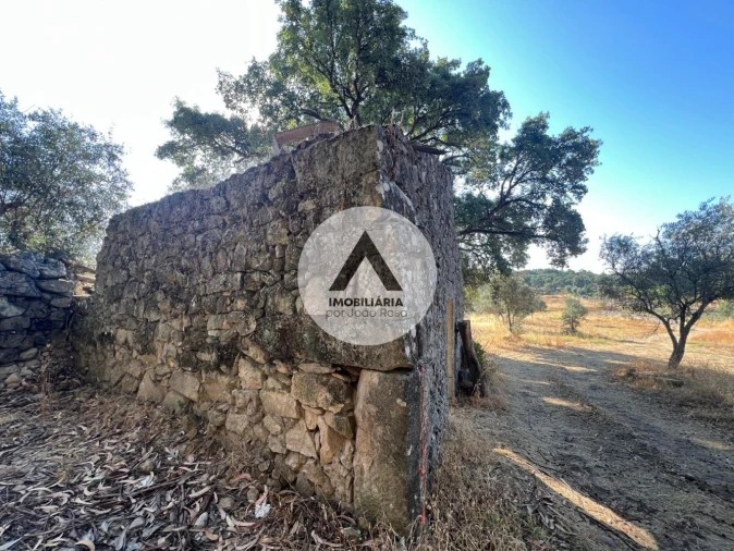 Terreno para Venda em Alcains Foto 4