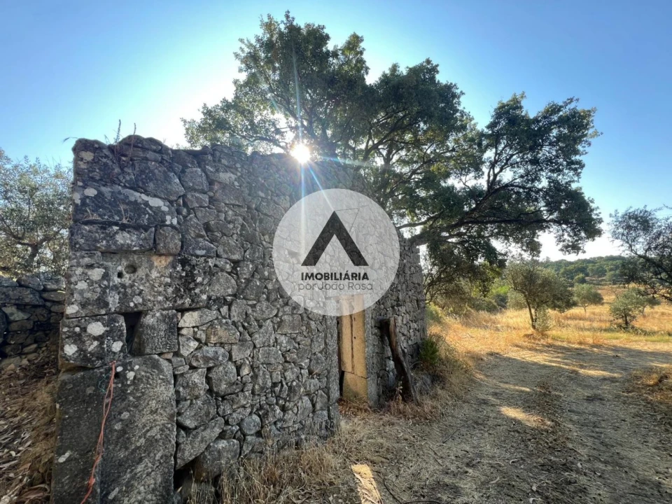 Terreno para Venda em Alcains Foto 1