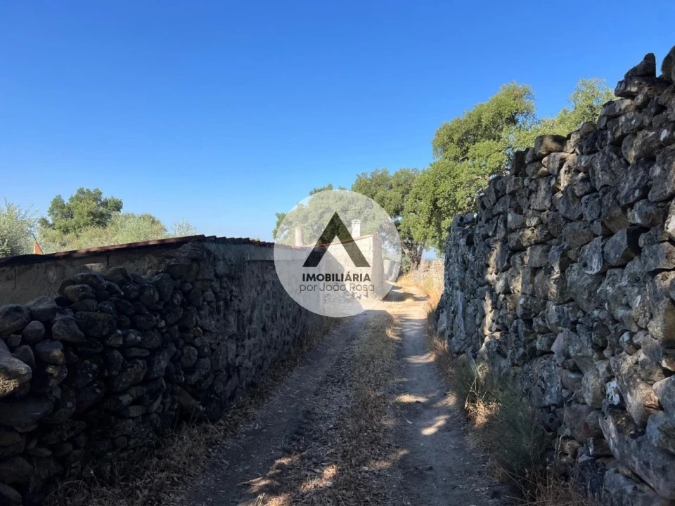 Terreno para Venda em Alcains Foto 12