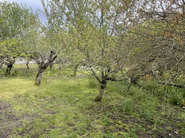 Terreno para Venda em Requeixo, Nossa Senhora de Fátima e Nariz