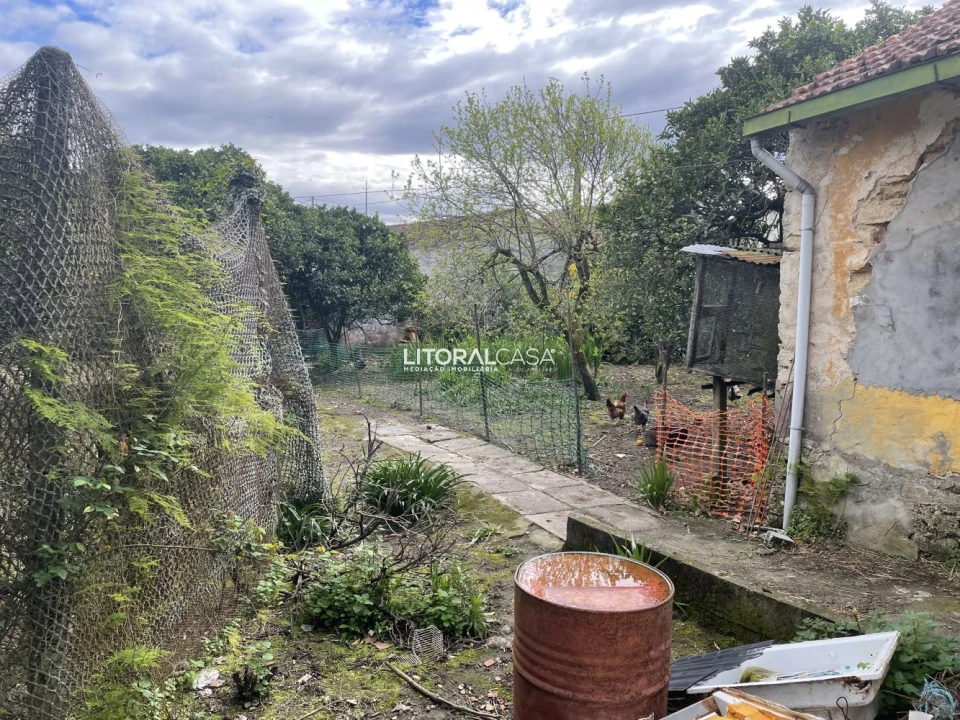 Terreno para Venda em Requeixo, Nossa Senhora de Fátima e Nariz Foto 5