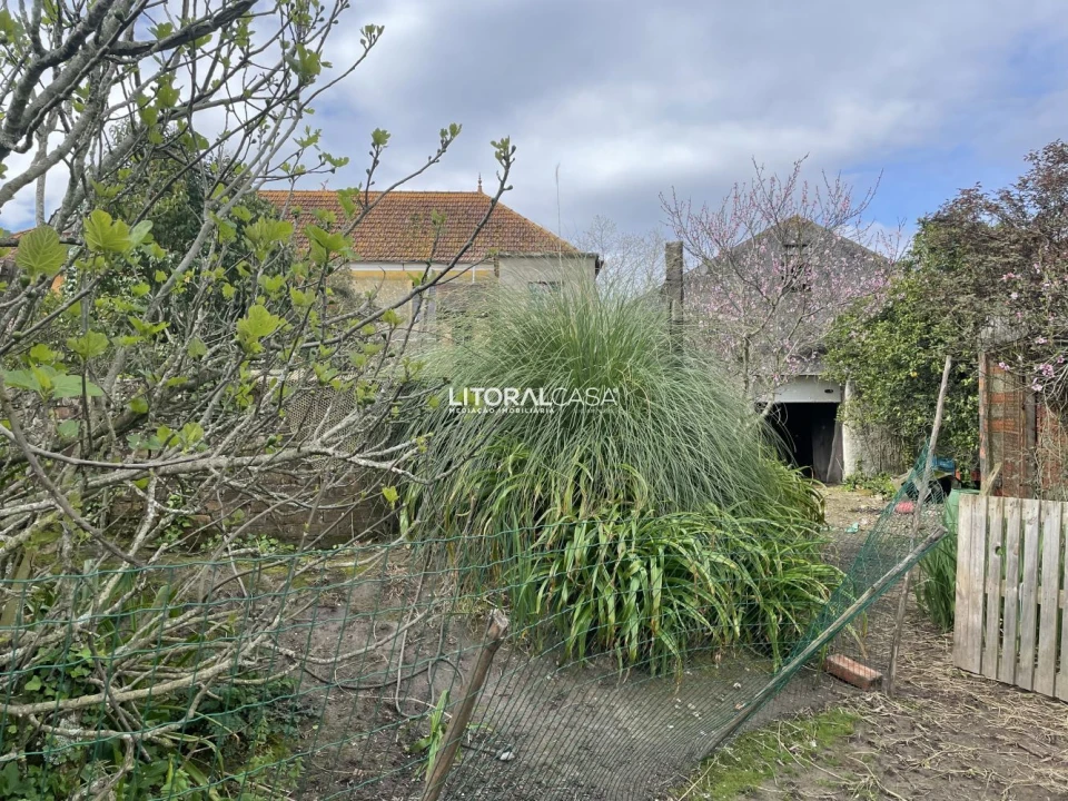 Terreno para Venda em Requeixo, Nossa Senhora de Fátima e Nariz Foto 11