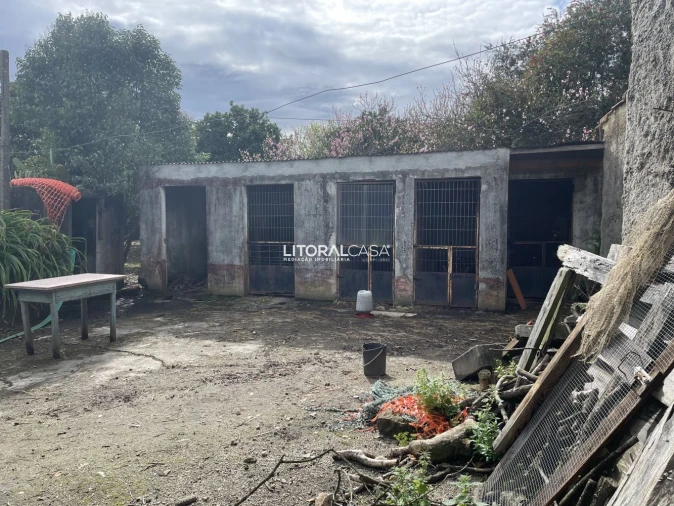 Terreno para Venda em Requeixo, Nossa Senhora de Fátima e Nariz Foto 19