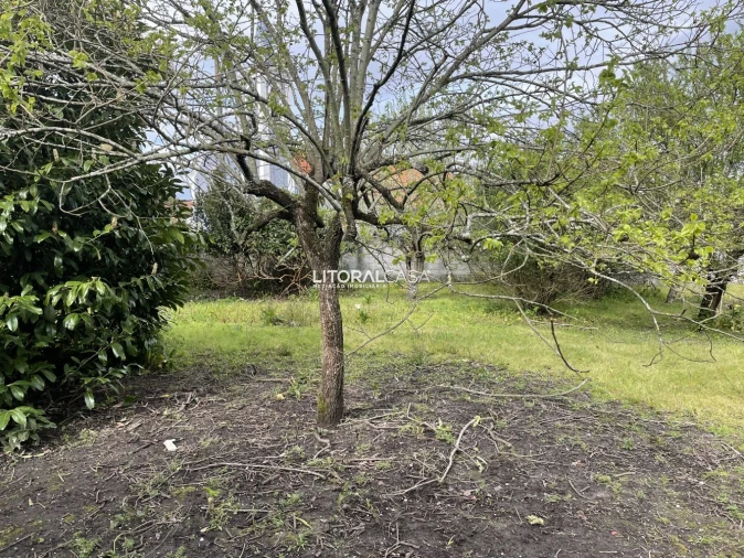 Terreno para Venda em Requeixo, Nossa Senhora de Fátima e Nariz Foto 15