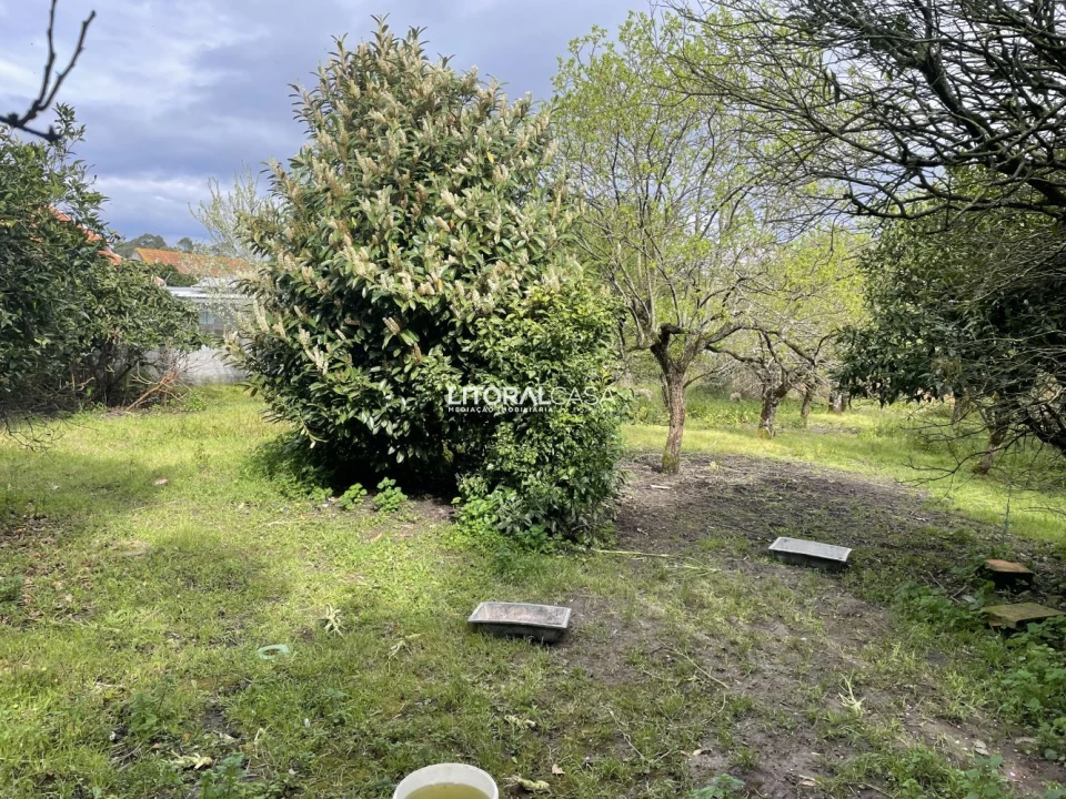 Terreno para Venda em Requeixo, Nossa Senhora de Fátima e Nariz Foto 17