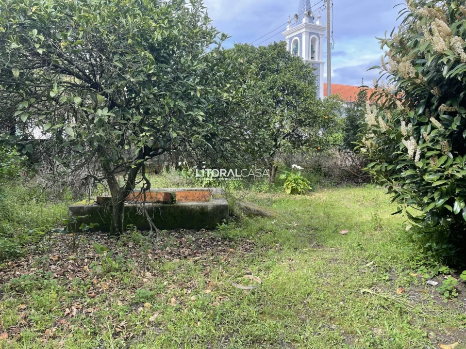 Terreno para Venda em Requeixo, Nossa Senhora de Fátima e Nariz Foto 16