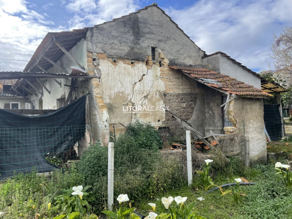 Terreno para Venda em Requeixo, Nossa Senhora de Fátima e Nariz Foto 9