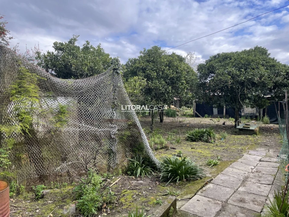 Terreno para Venda em Requeixo, Nossa Senhora de Fátima e Nariz Foto 3