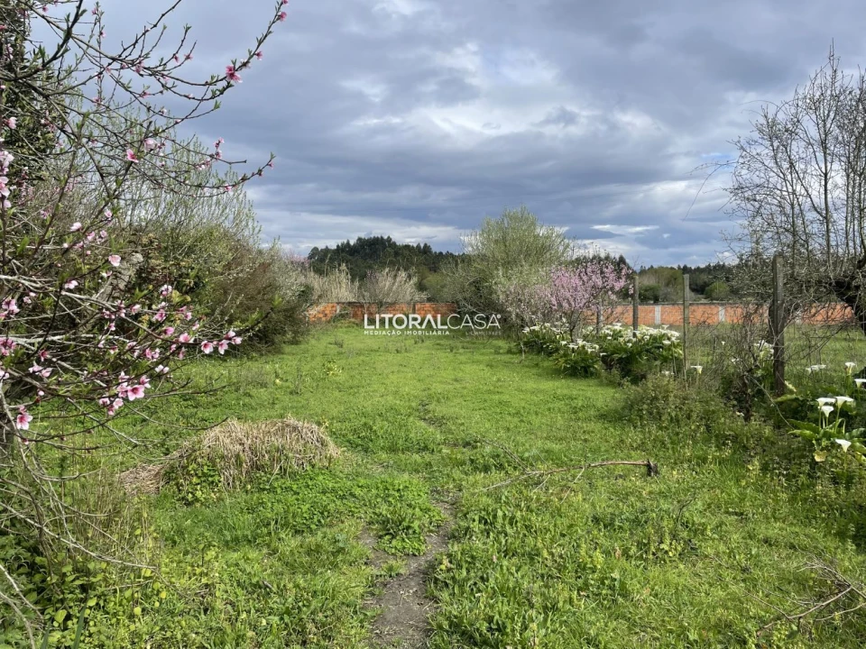 Terreno para Venda em Requeixo, Nossa Senhora de Fátima e Nariz Foto 13