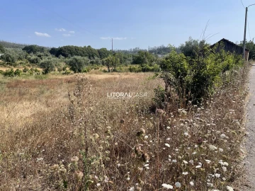Terreno para Venda em Macinhata do Vouga